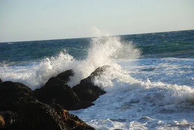 DSC_0117.jpg
